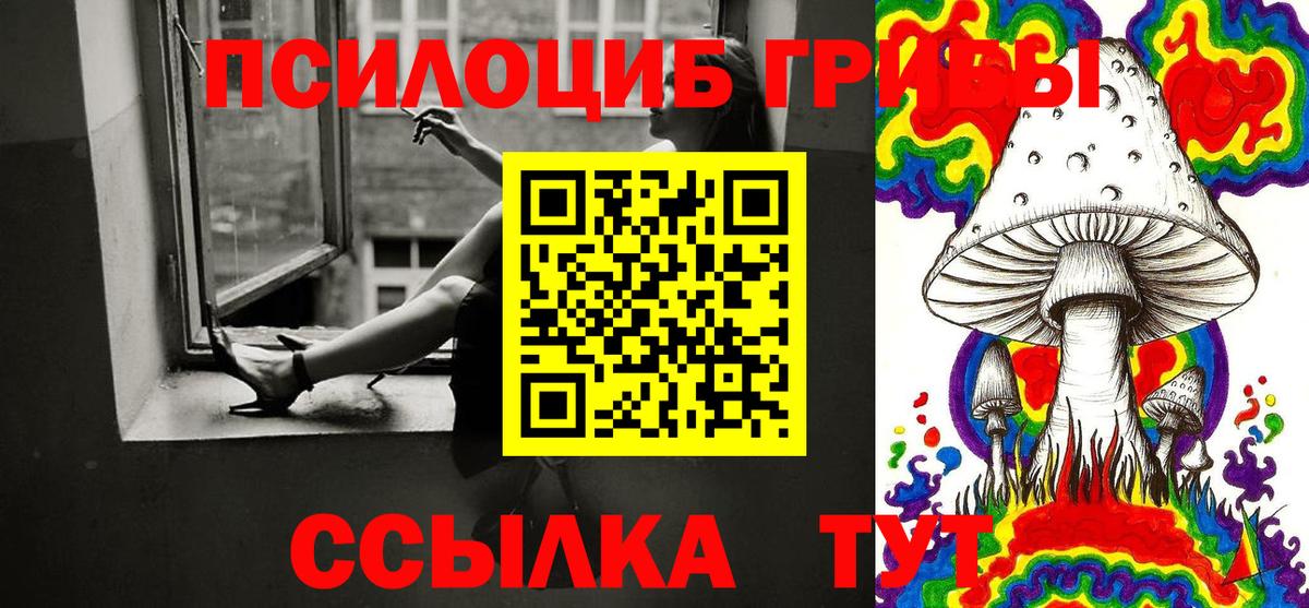 Галлюциногенные грибы Cubensis Мичуринск