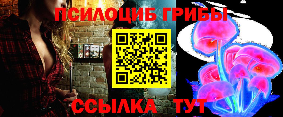 Мичуринск  Галлюциногенные грибы MAGIC MUSHROOMS  Вход с VPN  Галлюциногенные грибы Psilocybine cubensis 